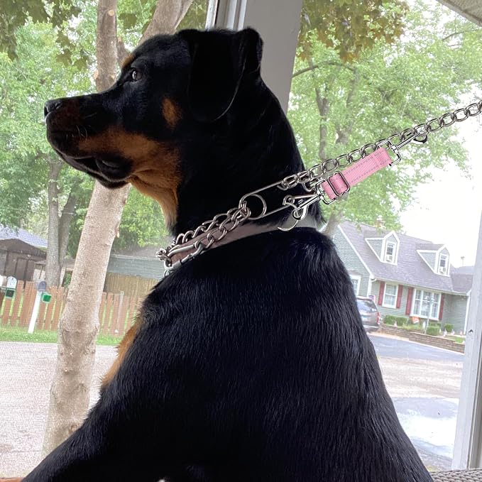 YUEPET Dog Safety Collar Clips 2 Pack Adjustable Prong Collar Backup Clips - Image 7