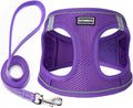 Dog Harness with Leash Set, No Pull Adjustable Reflective Step-in Puppy Pet by BOOMIBOO