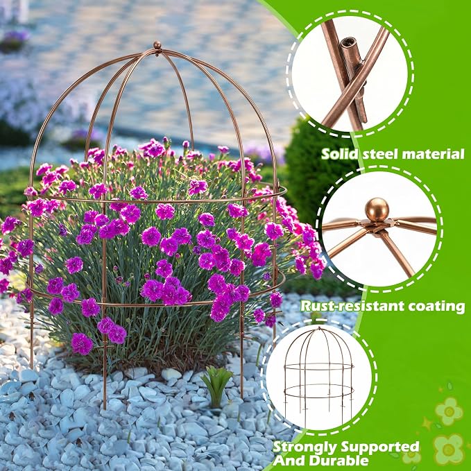 NNG 26 Inch Bird Cage Plant Support, Metal Grow Through Flower Trellis Cage - Image 3