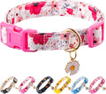 Cotton Dog Collar Light Pink Flower Pattern by Raisingwell