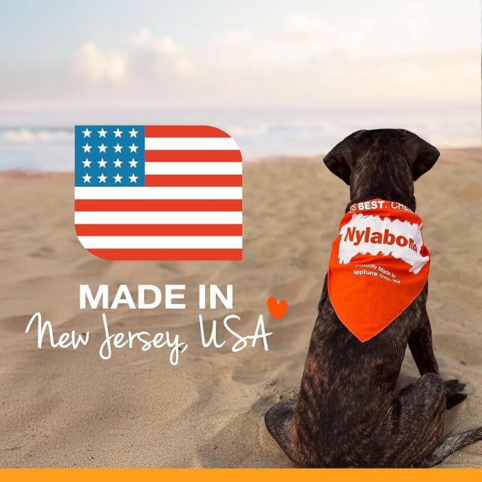 Nylabone Power Chew Classic Bone Chew Toy - Image 6