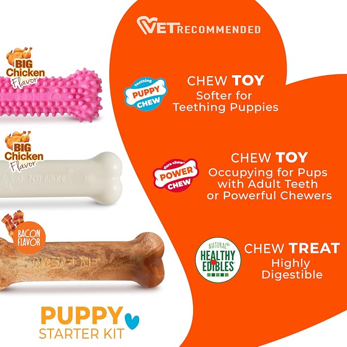 Nylabone Puppy Chew Toys & Natural Treat Triple Pack, Puppy Enrichment Teething - Image 5