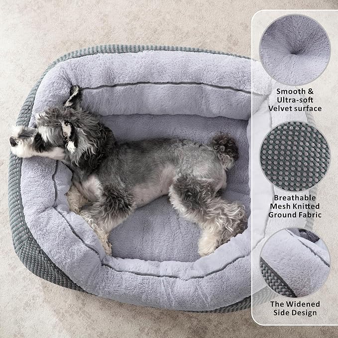 INVENHO Dog Bed for Small Dogs - Image 2