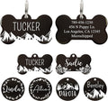 Ultra Joys Personalized Stainless Steel Bone Pet ID Tags by UltraJoys