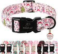 Christmas Dog Collar for Medium Dogs by Babolepet