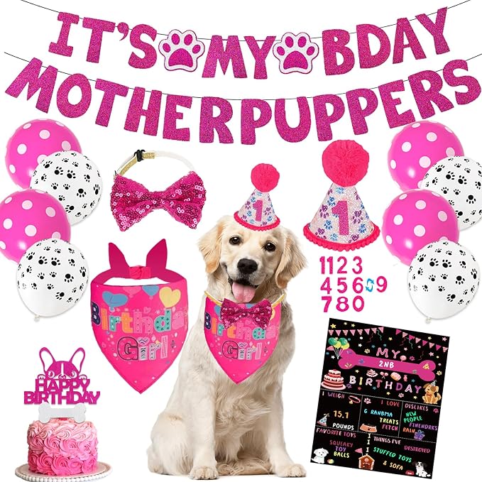 Hot-Pink Dog Birthday Party Supplies Pet Birthday Bandanas Girl Doggy Birthdays by Unknown