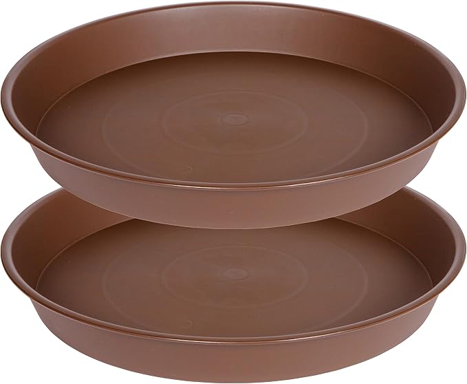 2 Pack of 8 inch Plant Saucer Clear, Heavy Duty Plastic Plant Water Tray 8 inch by Bleuhome