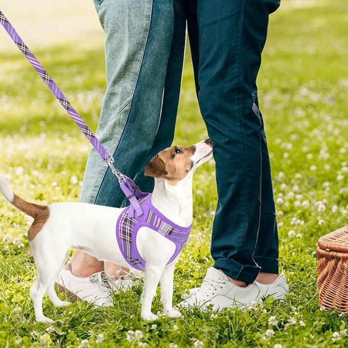 PUPTECK Adjustable Dog Harness Collar and Leash Set Step in No Pull Pet Harness - Image 7