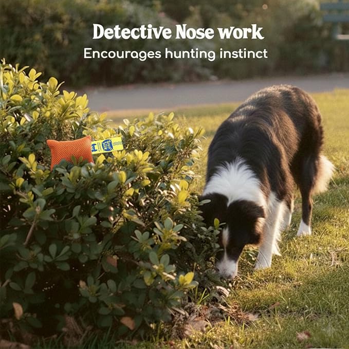 Race&Herd Original Dog Scent Training Kit, Scent Work Training Kit - Image 5