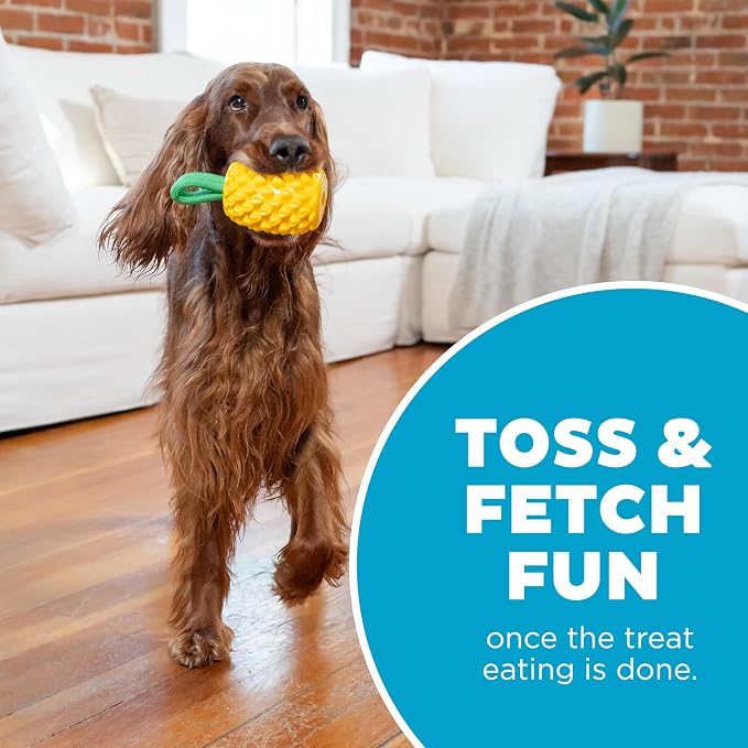 Outward Hound Dental Pineapple Dog Toy & Treat Stuffer, 6.8″ x 3.3″ - Image 5