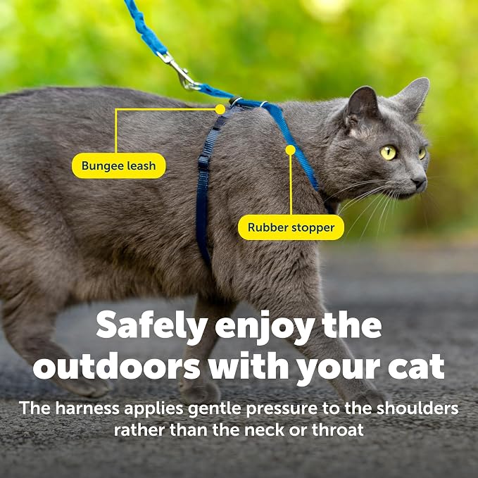 PetSafe Come with Me Kitty Cat Harness & Bungee Leash - Image 6