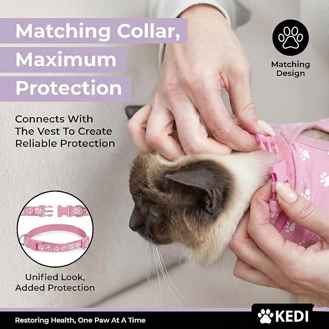 Kitten Recovery Suit Female, Kitten Onesie After Spay, Cat Surgery Suit Female - Image 3
