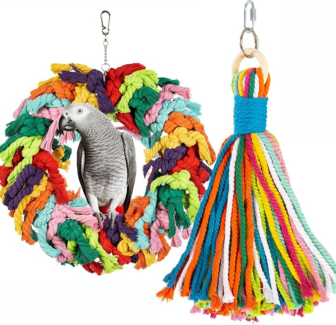 Parrot Swing for Large Birds by Unknown