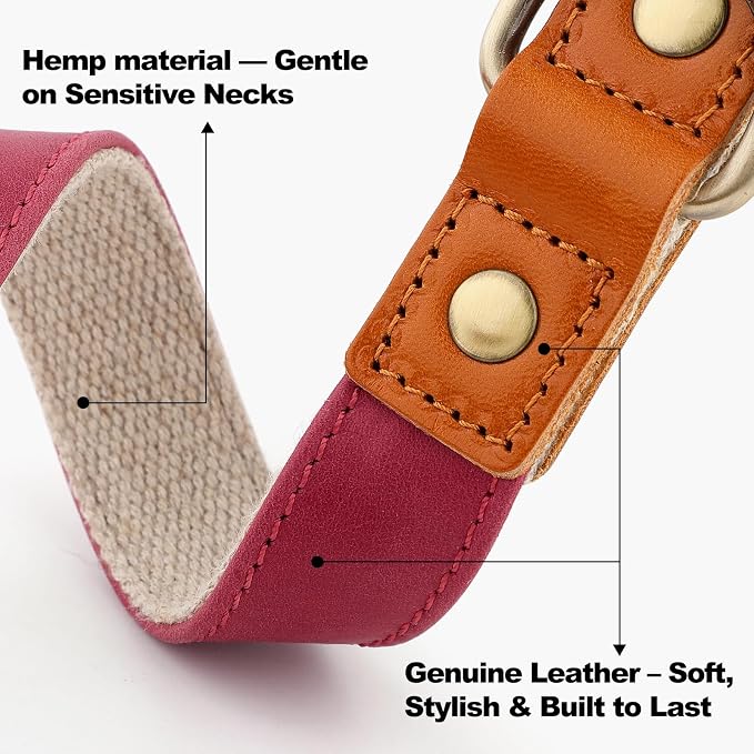 Plutus Pet Genuine Leather & Hemp Dog Collar – Adjustable Heavy Duty Pet Collar - Image 2