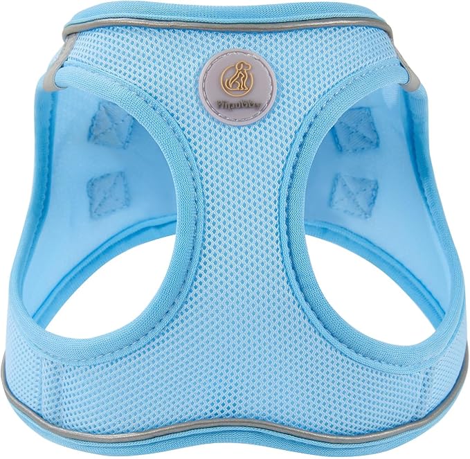 Hipubby Dog Harness and Leash Set, No Pull Soft Mesh Puppy Harness - Image 2