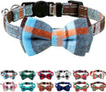 Joytale Upgraded Cat Collar by Joytale