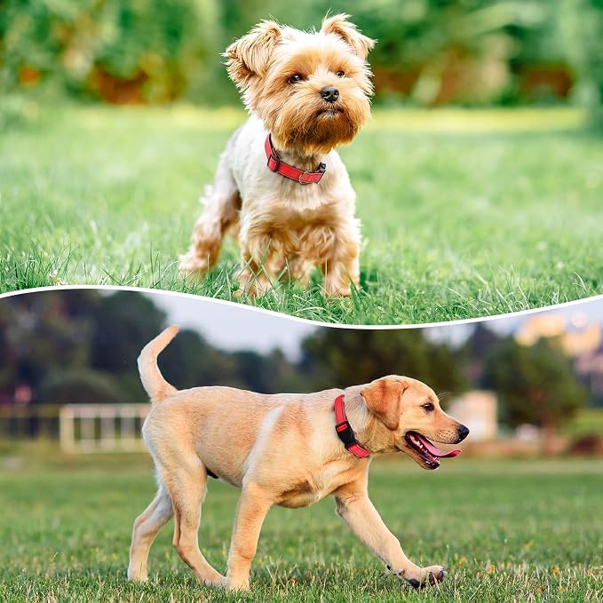 Reflective Dog Collar Padded - Image 2