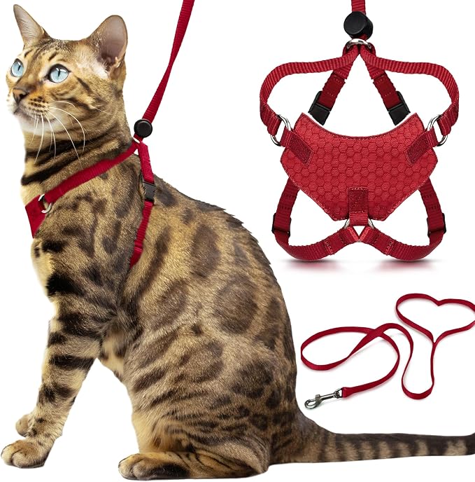 Houdini™ Escape Proof Kitten Harness and Leash Set by OutdoorBengal – Red by OutdoorBengal