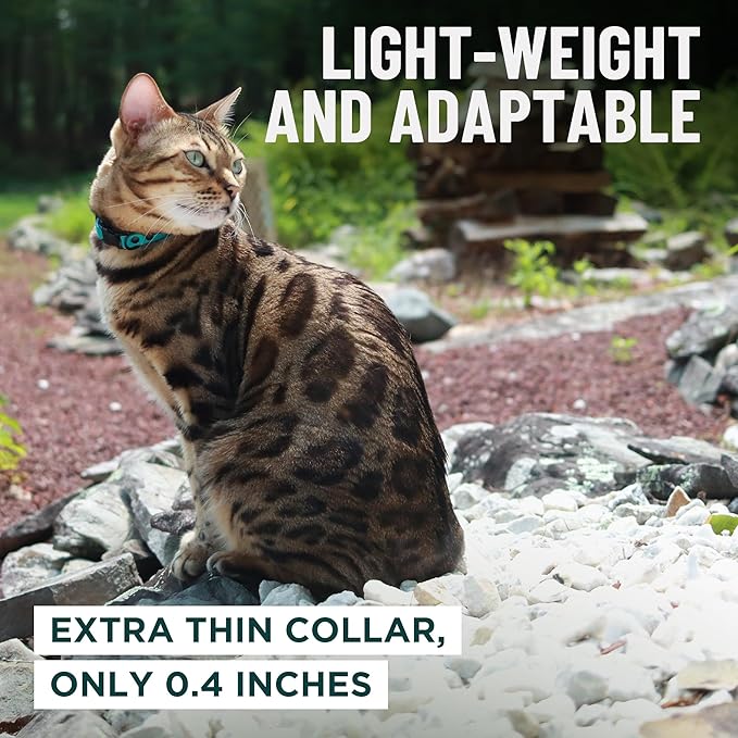 OutdoorBengal Green Breakaway Kitten Collar - Image 6