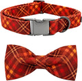 Fall Dog Collar, Pet Collar Bow Plaid Pet Collars Girl Boy Holiday Pet Collars by BoboRainbow