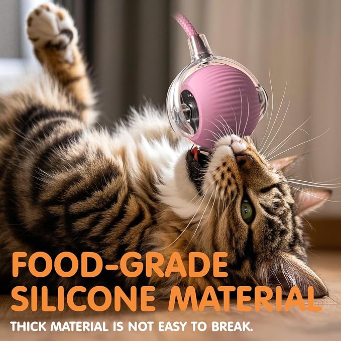 Rocfish Durable Interactive Cat Toys - Image 5