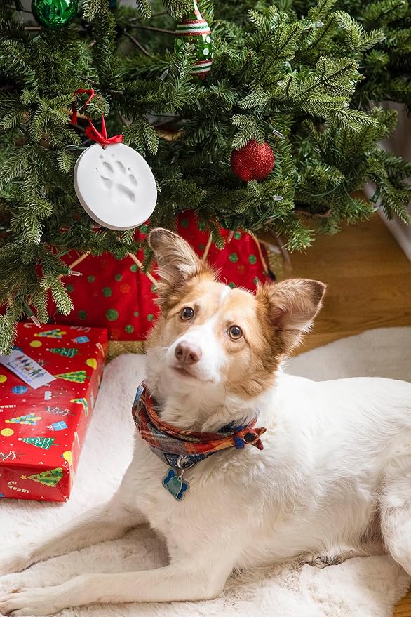 Pearhead Pawprints 2-Pack Christmas Ornament, DIY No Mess Pet Paw Print Holiday - Image 9