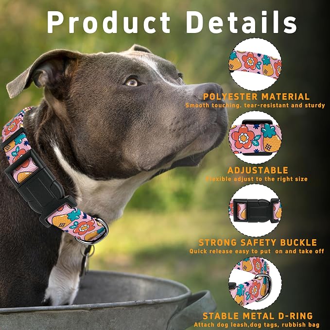 Dog Collar, Cute Cartoon Fruit Boys Girls Puppy Collar - Image 2