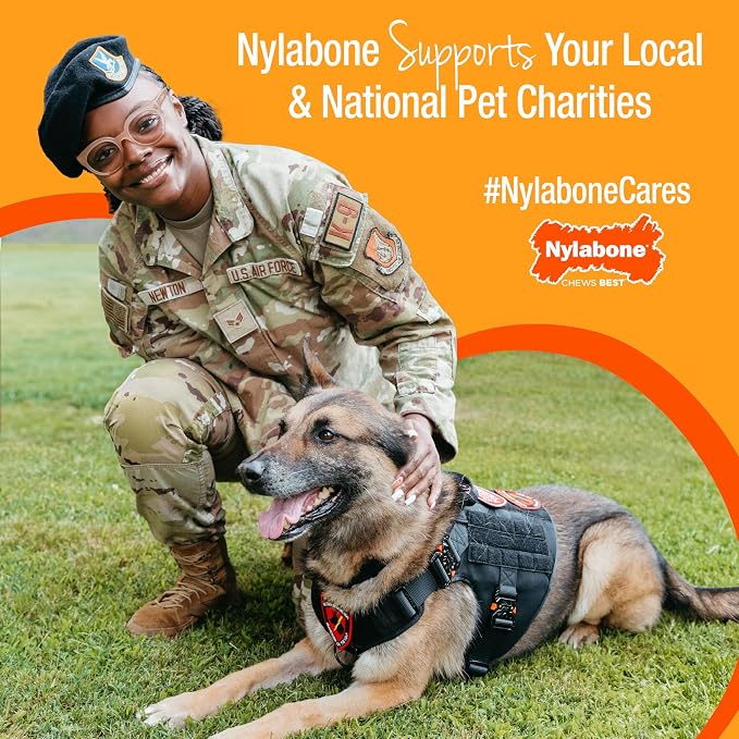 Nylabone Teething Rings Puppy Power Chew Toy - Image 12