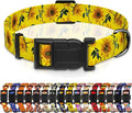 Dog Collar, Floral Boys Girls Puppy Collar, Adjustable Soft Pet Collar by Seyezo