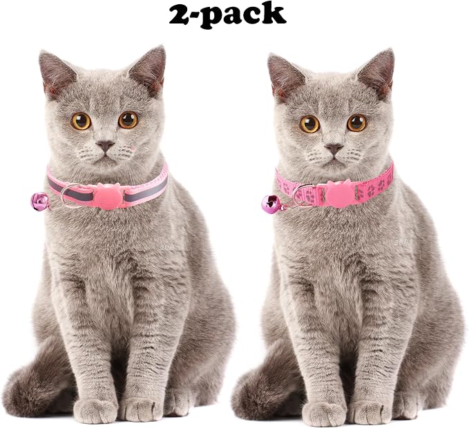 Orange Breakaway Kitten Collar - Image 2