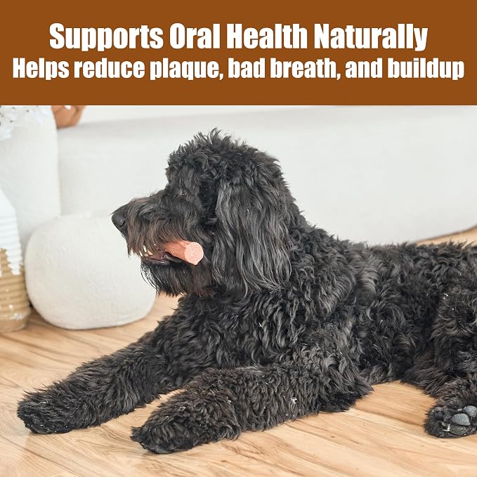 SPOT Bam-Bones Plus Branch -Bamboo Fiber & Nylon, Durable Long Lasting Dog Chew - Image 10