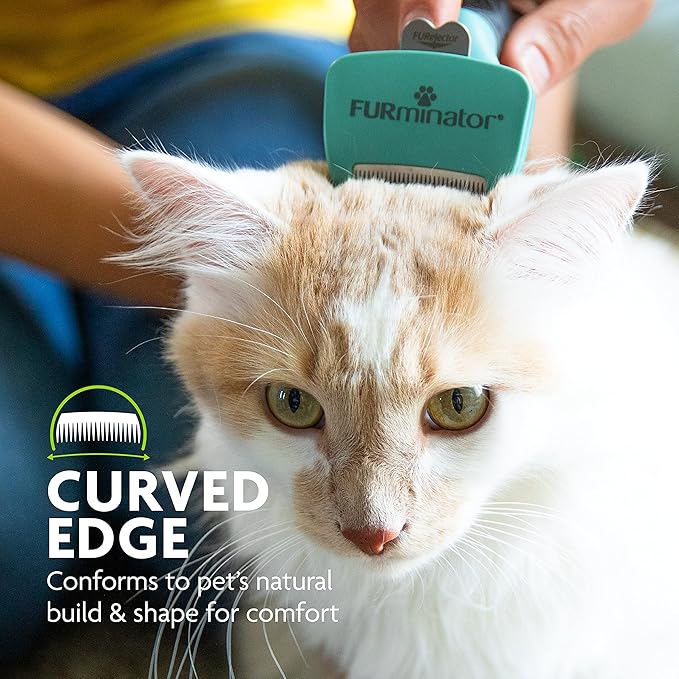 FURminator® deShedding Tool For Small Cats, Short Hair, Removes Loose Hair From - Image 4