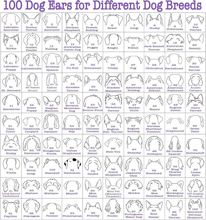 Custom Dog Mom Shirt for Women Pet Ears Sweatshirt - Image 2